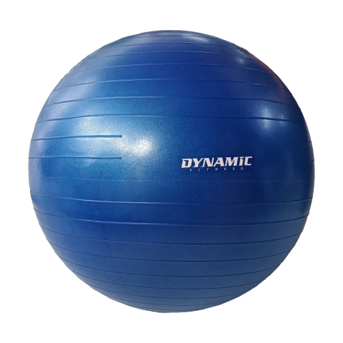 pelota esferodinamia 65cm importada