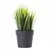 PLANTA CON MACETA PLASTICA 18CM