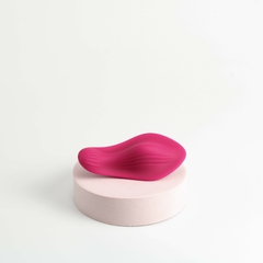 VIBRADOR PARA PANTY CON APP SPY SECRET en internet