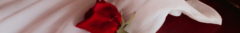 Banner de la categoría Cápsula - Bisou 