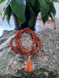 Imagem do Japamala Rudraksha