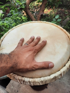 Djembe - comprar online