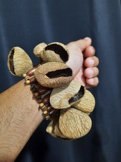 Pulseira de Castanha na internet