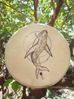 Tambor Oceânico Baleia na internet