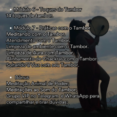 Curso Despertar do Tambor - loja online