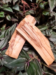 Imagem do Palo Santo