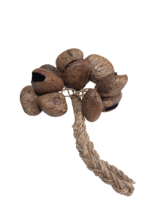 Maracá de Castanha - comprar online