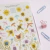 Cuaderno QRS A5 Anima+ Rayado Anillado - Libertad - tienda online