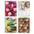 Cuaderno Universitario America Shoot 120 hojas lisas