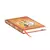 Cuaderno Paperblanks MINI - Astérix Y Obérix Rayado en internet