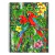 Cuaderno universitario Ledesma Design Selva x84 hojas rayadas