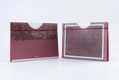 Carpeta Con Fuelle Fw - Con 13 Bolsillos Para Escritorio
