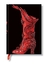 Cuaderno Paperblanks SLIM tapa dura - Hechicera