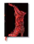 Cuaderno Paperblanks SLIM tapa dura - Hechicera