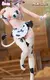 Milk Girls (Black and White Ver.) 1/6 Scale Figure - DICIEMBRE 2025 en internet