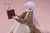 Frieren: Beyond Journey's End Desktop Cute Frieren (Roomwear Ver.) Figure en internet
