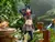 Delicious in Dungeon Pop Up Parade Izutsumi - JUNIO 2025 en internet