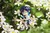 Nendoroid Doll Venti: Blue Ballad Ver. - OCTUBRE 2025 - WONDER COLLECTION STORE