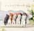 Sleep Together Cat 1Box (10pcs) - MAYO 2025