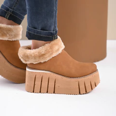 Toledo Camel en internet