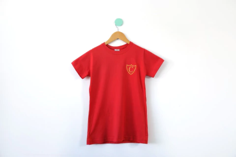 Remera House Entallada Primaria/Secundaria