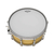 Pele Remo AX-0114-00 14" Ambassador X Coated Porosa - comprar online