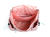 Mochila Maternal New World - tienda online
