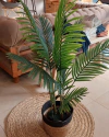Planta Palmera 110