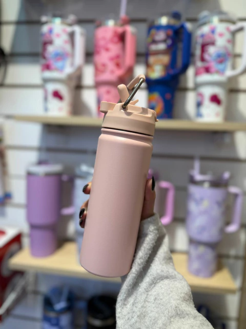 Botella térmica cole 500ml - comprar online