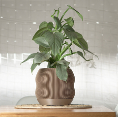 Maceta LEDA | Tamaño L - comprar online