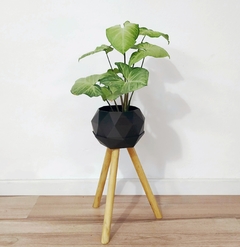 Maceta | GEO XL + Pie de madera ALTO en internet