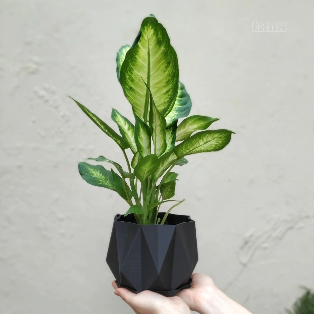 Maceta ROMBOS | Tamaño XL