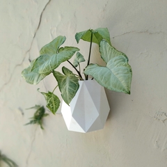 Pack x3 | Maceta de pared ROMBOS | Tamaño L - comprar online