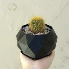 Pack x5 | Maceta Tamaño M (Geo) - TANK Fábrica de Diseño