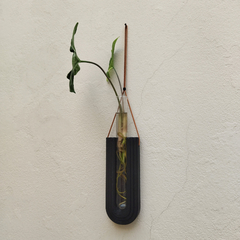 Hidroterrario Hemi Colgante - comprar online