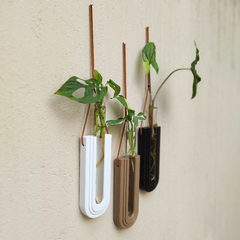 Hidroterrario Hemi Colgante - comprar online