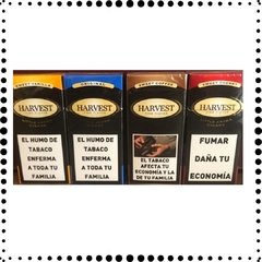 Cigarro Puritos Harvest Alemania Caja x 10u . Cigarro con Filtro.