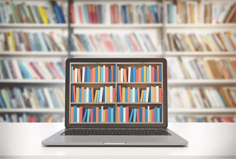 Banner de Livros do Rochi