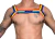Harness Pride