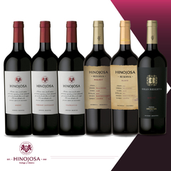 Caja Mix Bodega Hinojosa - caja 6 unidades