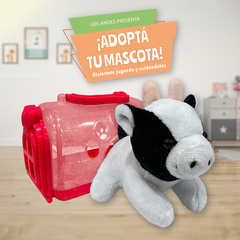 ¡ADOPTÁ TU MASCOTA! la vaca Benny
