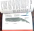 ANTARCTIC WILDLIFE - IDENTIFICATION GUIDE - Ecotienda - Aves Argentinas