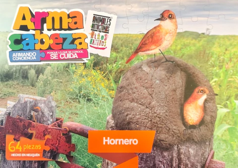 ARMA-CABEZA en internet