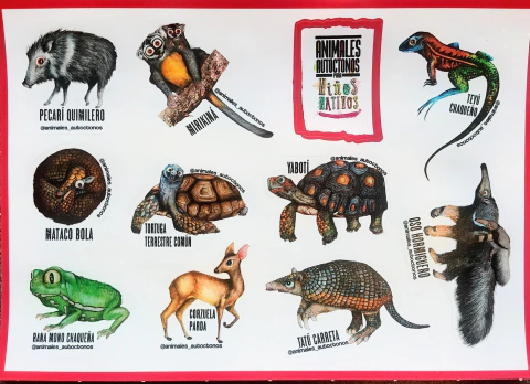 PLANCHA DE STICKERS - ANIMALES AUTÓCTONOS PARA NIÑOS NATIVOS - tienda online