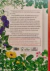 NATIVAS EN FLOR: Plantas de Pampa y Espinal - comprar online