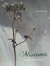 Misiones - Tierra prometida