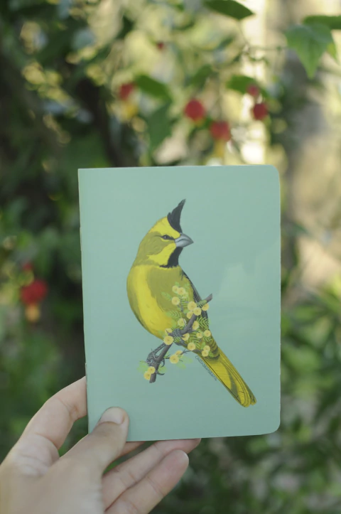 LIBRETA 10x15cm AVES ARGENTINAS - Ecotienda - Aves Argentinas