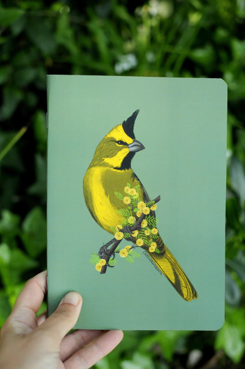 LIBRETA 15x21cm AVES ARGENTINAS en internet