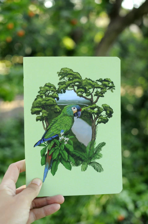 LIBRETA 15x21cm AVES ARGENTINAS - tienda online