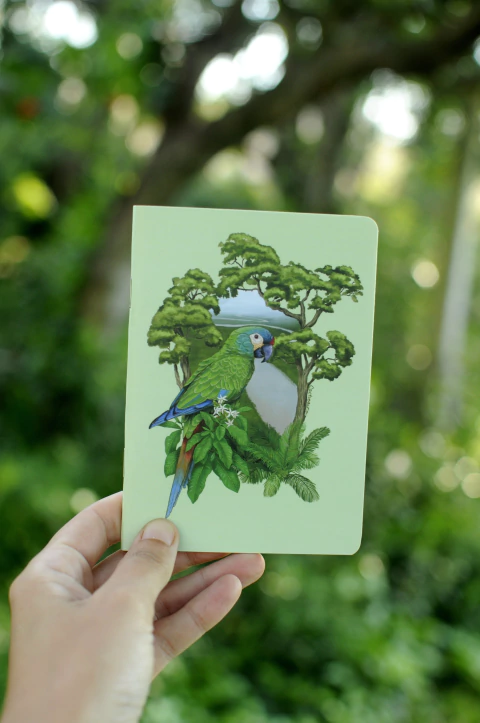 LIBRETA 10x15cm AVES ARGENTINAS - tienda online